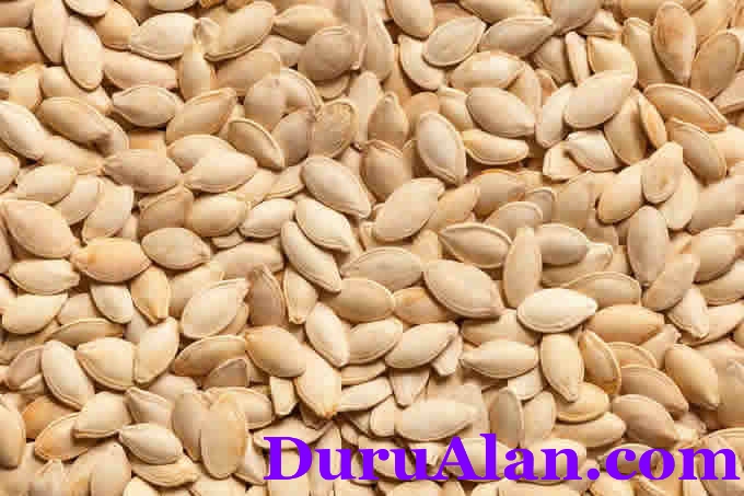 Kabak Çekirdeği Yararları